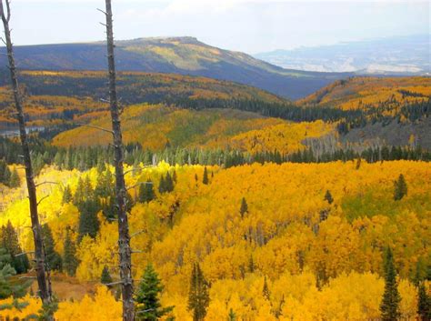 Grand Mesa National Forest – Western Colorado | Biking, Boating ...