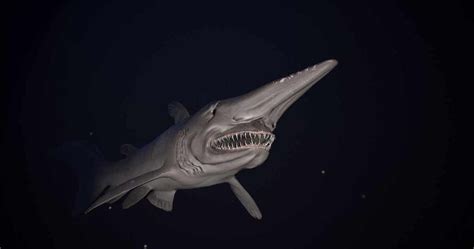 Goblin Shark's Terrifying Teeth: The Spiky Jaws of Ocean Nightmare ...