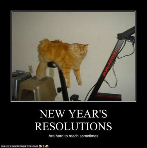 Funny New Years Resolutions - 24 Pics