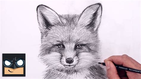 How To Draw a Fox | Sketch Tutorial (Step by Step) - YouTube