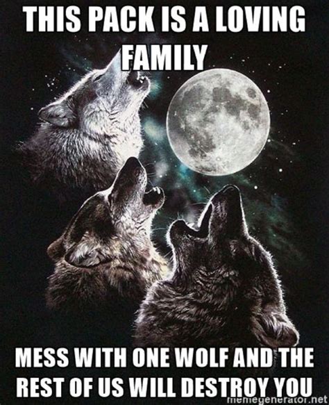 Jacob x-reader - #76 | Wolf pack quotes, Wolf pack, Wolf quotes