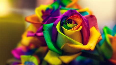 Rainbow Flower Wallpaper (58+ images)