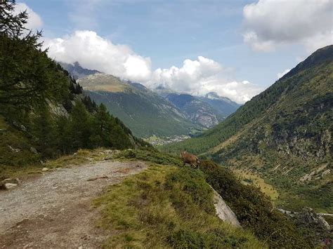 Top 5 Hikes and Walks around Vallorcine | Komoot