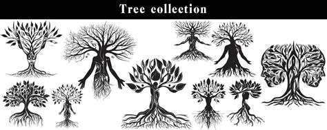 set of silhouettes of trees. black and white tree vector set. tree ...