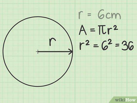 Area Of A Circle Calculator - astonishingceiyrs