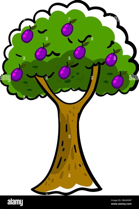 Plum tree, illustration, vector on white background Stock Vector Image ...