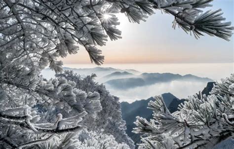 Wallpaper winter, frost, mountains, branches, China, China, pine ...