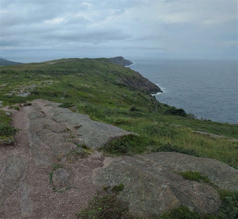 Cape Spear Path | First view of Cape Spear. | Eric Titcombe | Flickr