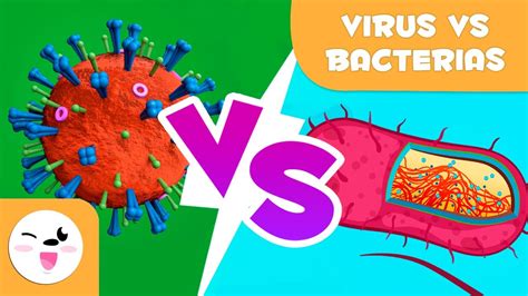 Virus vs. bacterias - ¿Cuáles son sus diferencias? - YouTube