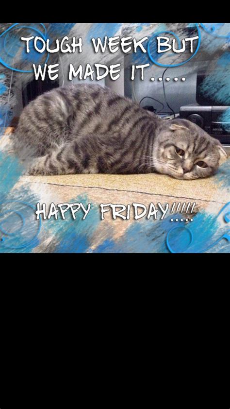 Happy Friday Cat Meme