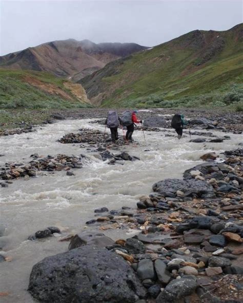 Denali National Park Hiking Spots