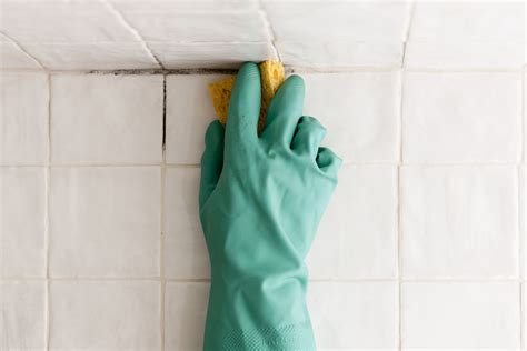 How to Remove Mold on Bathroom Ceilings