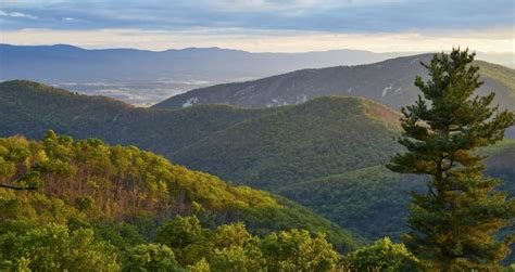 25 Best Virginia Mountains