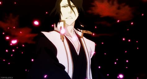 Bleach: Soul Society Arc - My Experience | Anime Amino