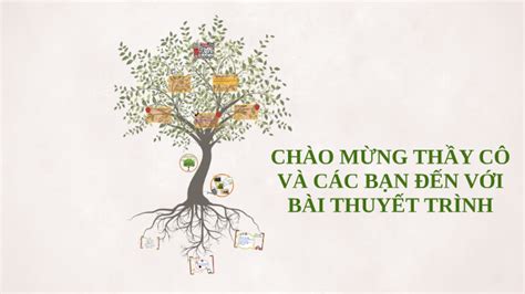 CHÀO MỪNG THẦY CÔ VÀ CÁC BẠN ĐẾN VỚI BÀI THUYẾT TRÌNH by TRINH NGOCHAN ...