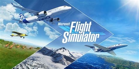 Is Microsoft Flight Simulator Multiplayer? | Game Rant