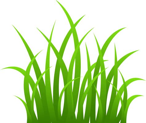 Grass Png Image Green Grass Png Picture Transparent HQ PNG Download ...