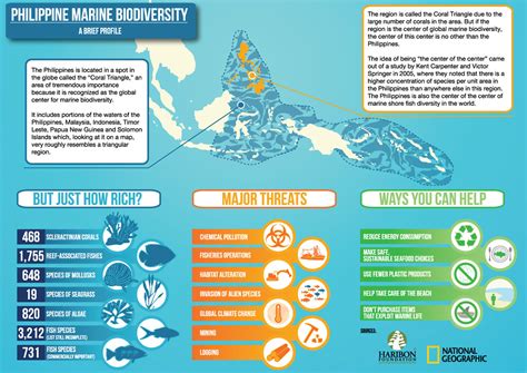 Philippine Marine Biodiversity Infographic | A brief overvie… | Flickr