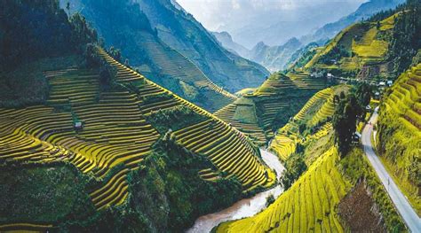 10 Most beautiful rice fields in Vietnam + best season 2024 | localvietnam