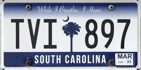 Sc License Plate Sticker Color 2024 - Vally Isahella