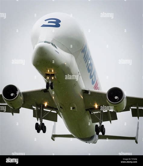 Airbus Beluga aircraft landing Stock Photo - Alamy