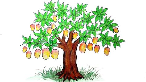 Mango Tree Drawing at PaintingValley.com | Explore collection of Mango ...