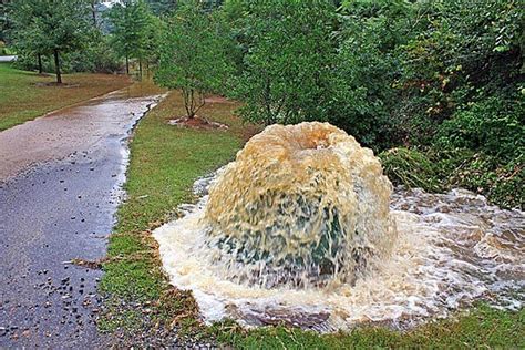 Fats, oils, and grease - oh, my! - UF/IFAS Extension Sarasota County