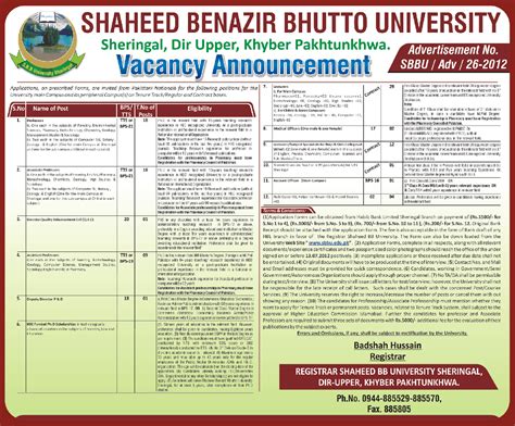 Shaheed Benazir Bhutto University Sheringal Jobs Opportunities - PK ...