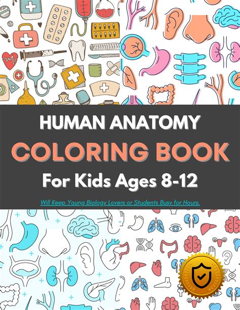 Human Anatomy Coloring Book for Kids Ages 8-12: Over 34 Human Body High ...