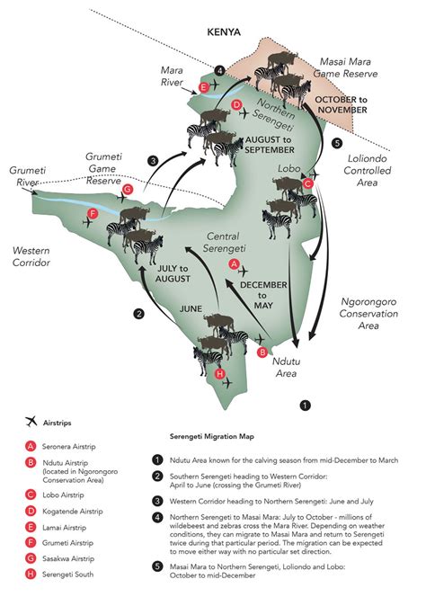 serengeti-migration-map