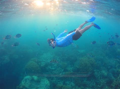 Snorkeling In Karimunjawa Islands, Central Java | The Travel Junkie