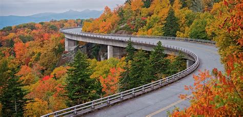 Linn Cove Viaduct and Fall Leaves Photograph by Matt Plyler - Pixels