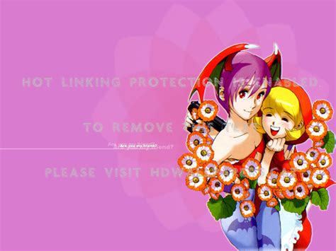 Darkstalkers Anime Wallpapers - Top Free Darkstalkers Anime Backgrounds ...