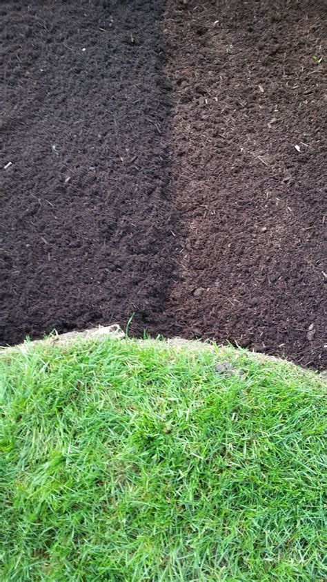 Red Mulch: Red Mulch Vs Brown Mulch