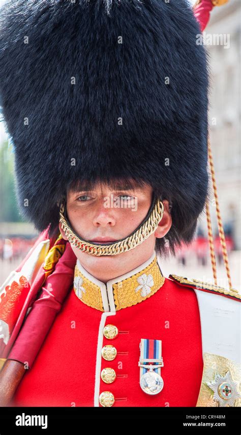 Member of Queen's Guard at Buckingham Palace, London, UK - Grenadier ...