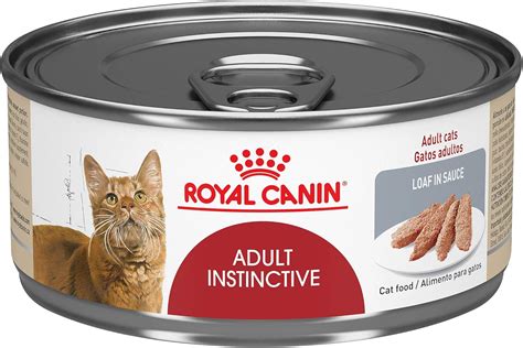 Top 9 Royal Canin Select Protein Canned Cat Food - Home Tech