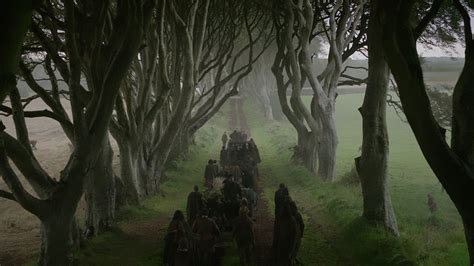 The Dark Hedges (Game of Thrones); How to Visit them in Ireland in 2021!