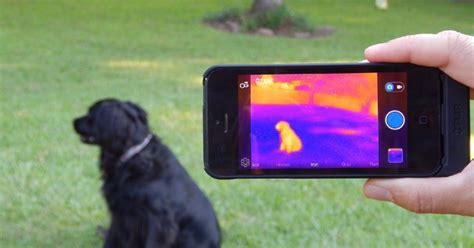 Trying Out the iPhone Infrared Camera: The FLIR One | WIRED