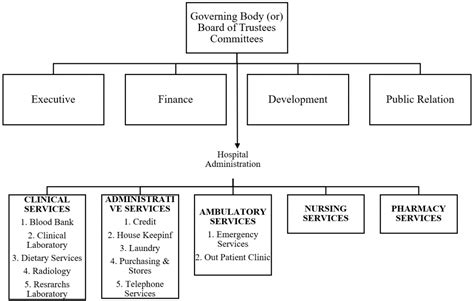 Organisation Structure Of Hospital