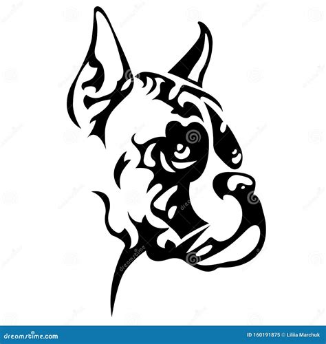 Boxer Breed Dog For Logo Design Cartoon Vector | CartoonDealer.com ...