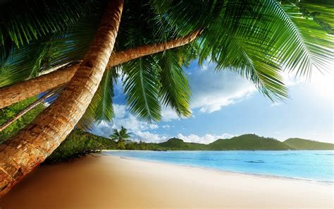 Caribbean Wallpaper Widescreen (61+ images)