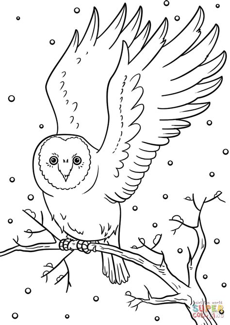 Coloriage - Aigle d'hiver | Coloriages à imprimer gratuits