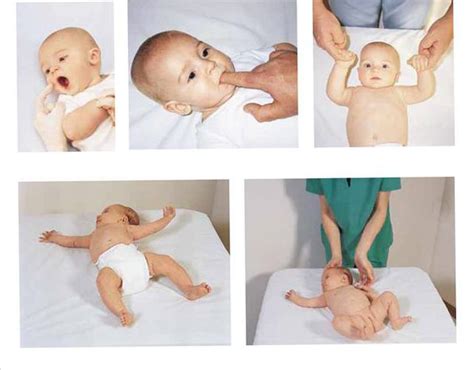 93 best images about Reflex on Pinterest | Balance exercises, Infants ...