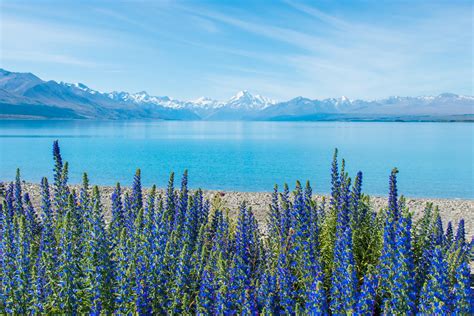 Lake Pukaki, New Zealand [3567x2378] [OC] : r/EarthPorn