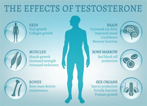 Testosterone – action and testosterone boosters. Testosterone as doping