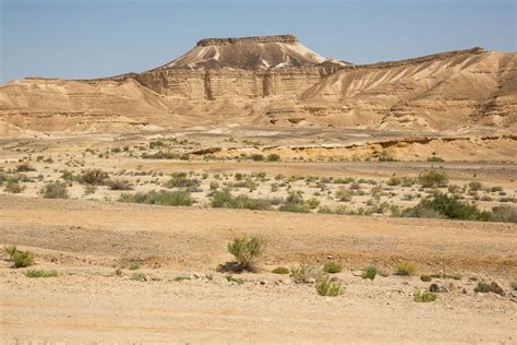 Negev Desert Map Location