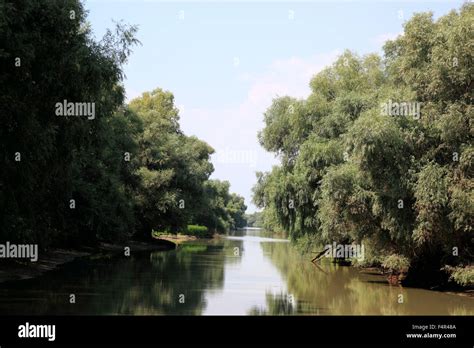 Danube Delta Biosphere Reserve, near Tulcea, Romania Stock Photo - Alamy