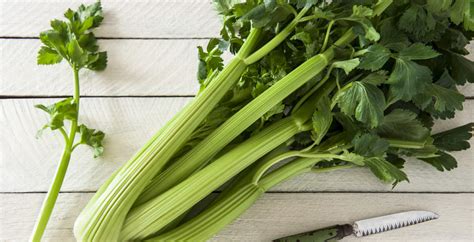 Benefits of Celery, Nutrition Facts, Recipes and More - Dr. Axe