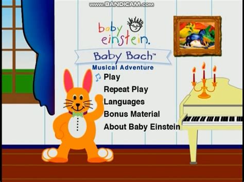 Bach The Rabbit | Baby Einstein Wiki | Fandom