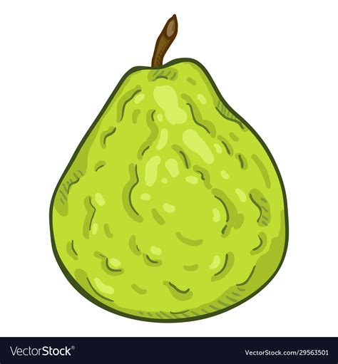 Cartoon whole green guava fruit Royalty Free Vector Image